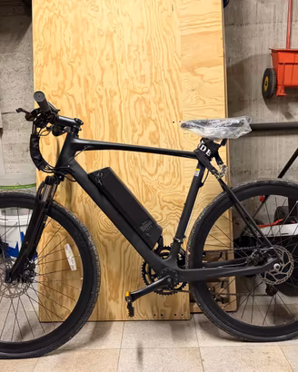 Bici elettrica