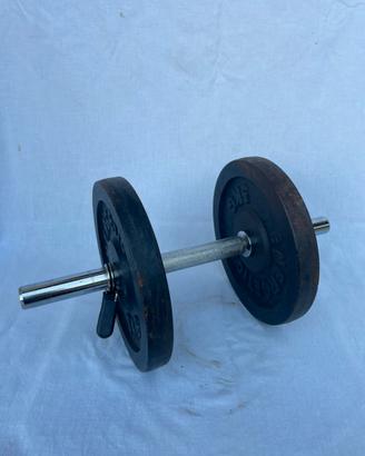 Manubrio componibile ghisa 12kg Energietics