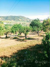 Terreno panoramico unico con casale rustico
