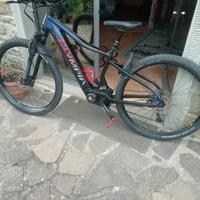 Ebike Olympia Performer Sport 900