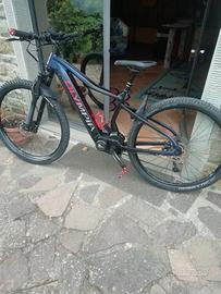 Ebike Olympia Performer Sport 900