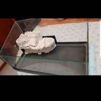 Acquario tartatughe 56 x 30