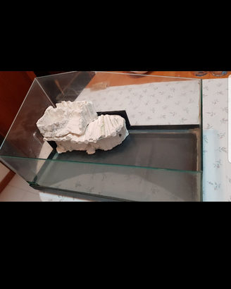 Acquario tartatughe 56 x 30