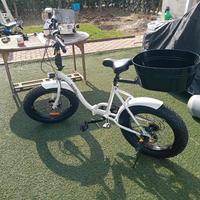 bicicletta pieghevole 