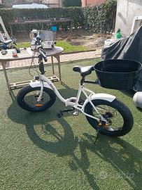 bicicletta pieghevole 