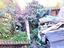 Immagine 28