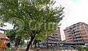 laboratorio-perugia-cod-rif-3335054acg-