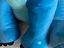 Immagine 3