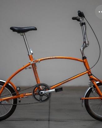 Bici pieghevole BIG FISH CARNIELLI