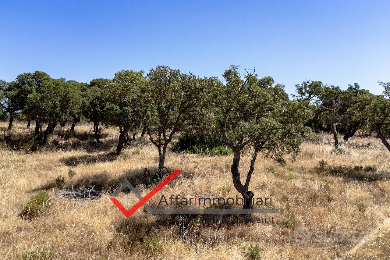 Terreno Agricolo Telti - Vista 6