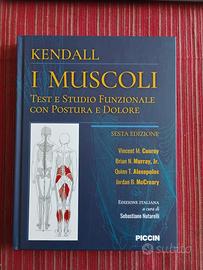 Kendall I Muscoli Piccin