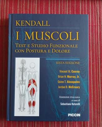 Kendall I Muscoli Piccin