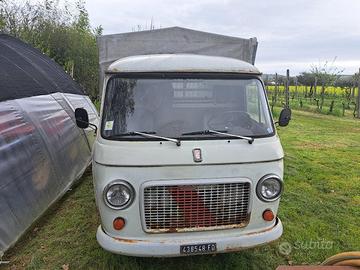 Fiat 241
