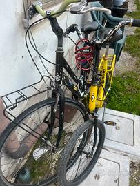 bicicletta graziella