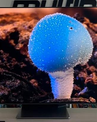 Tv Samsung Oled