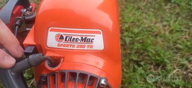 Decespugliatore tagliabordi oleomac