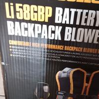 Soffiatore McCulloch  con batteria Li58Gbp