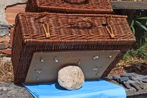 valige vimini e parabrezza PX 200