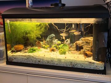 acquario 100litri completo prezzo trattabile