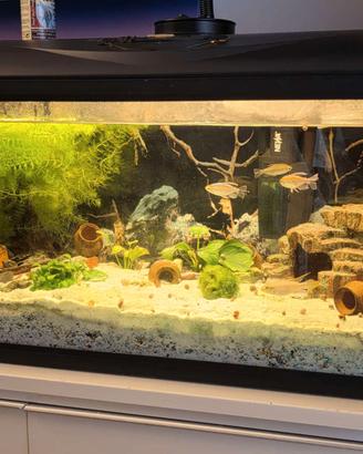 acquario 100litri completo prezzo trattabile