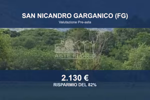 Immobile in asta di 2450 m² a San Nicandro Gargani