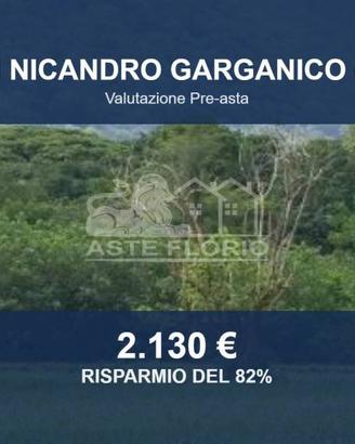 Immobile in asta di 2450 m² a San Nicandro Gargani