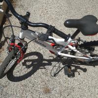 Biciclette bimbi (14,16)