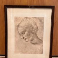 Studio di testa di donna - Leonardo Da Vinci