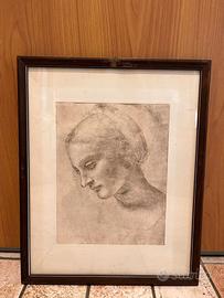 Studio di testa di donna - Leonardo Da Vinci