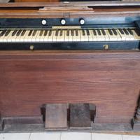 organo
