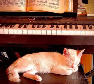 piano digitale