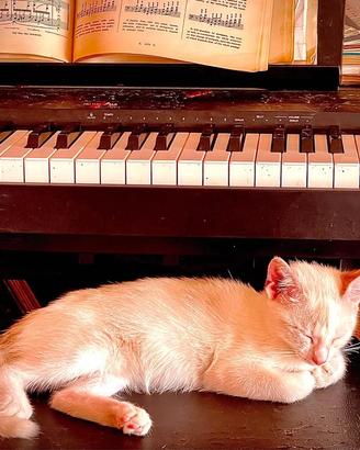 piano digitale