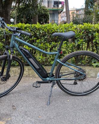 Bici elettrica Riverside 500E