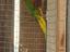Immagine 3