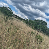 Terreno agricolo prezzo trattabile
