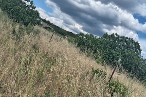 Terreno agricolo prezzo trattabile