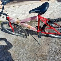  Mountain bike 
