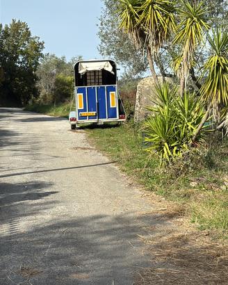 Trailer per cavalli