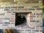 Immagine 17