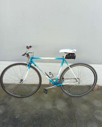 Bici Vianelli ed accessori