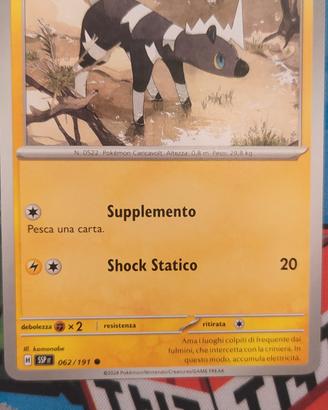 Carta Pokémon 