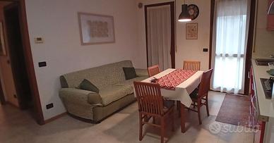 Appartamento a Tezze sul Brenta arredato