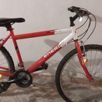 Bicicletta uomo buone condizioni