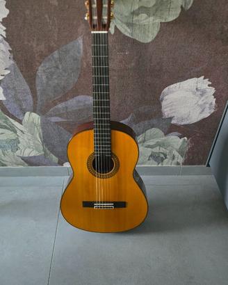 Yamaha C-80 Chitarra Classica + Custodia RockBag