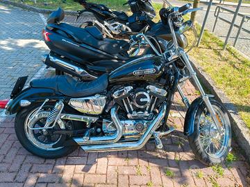 Harley Davidson 1200 low