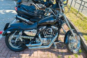Harley Davidson 1200 low