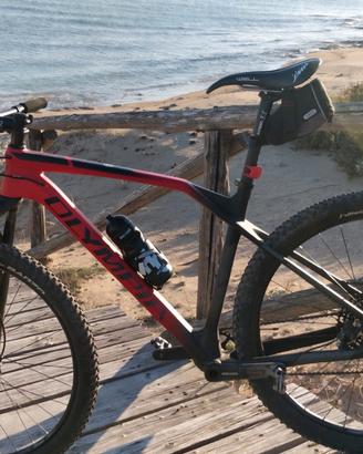 mtb olimpia Iron 2020