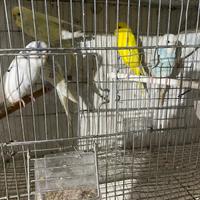 Vend in blocco tutto leggete sotto bene 2026