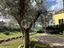 Immagine 23