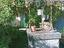 Immagine 29